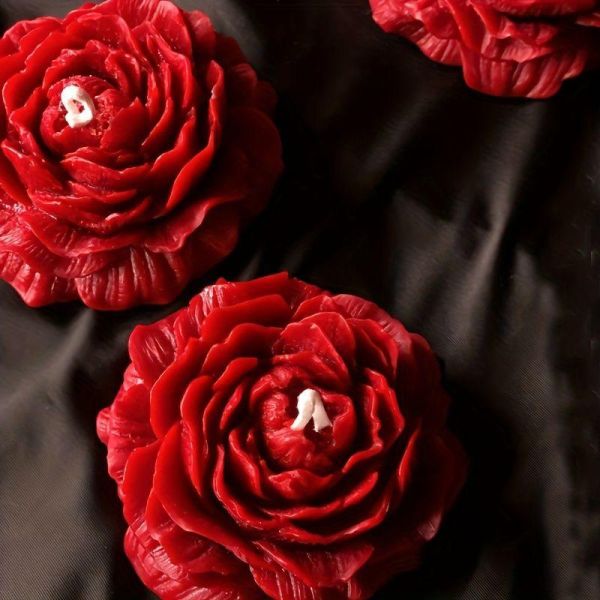 Aroma Home Bougie artisanale en forme...