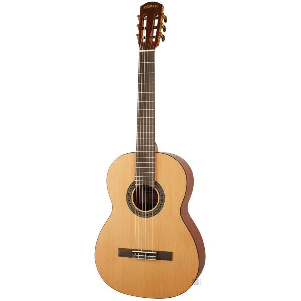 Guitare CASCHA "HH 2078"