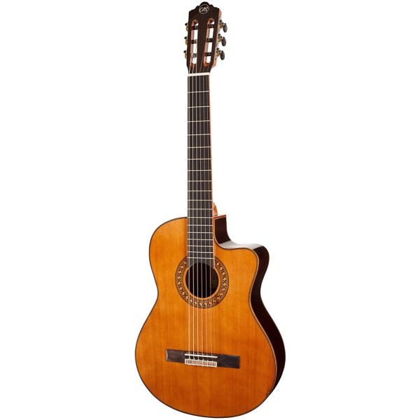 Guitare Tangelwood "EM DC5"