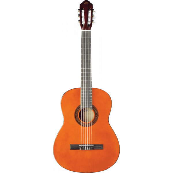 Guitare EKO