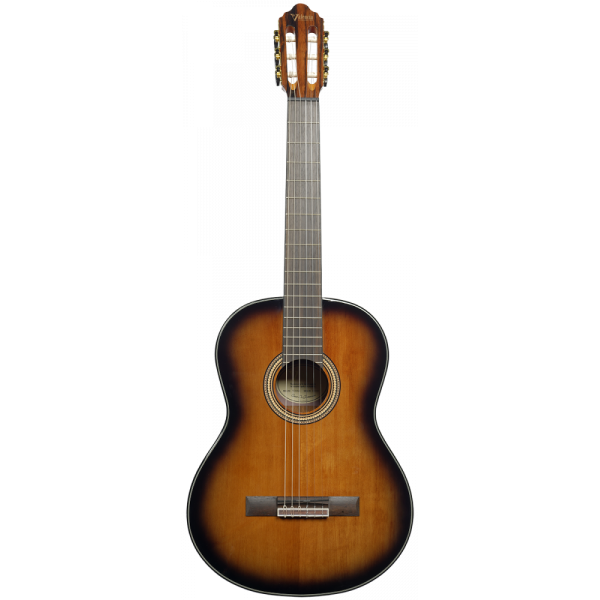 Guitare Valencia "VC564BSB"