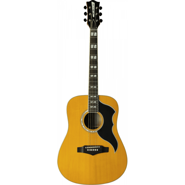 Guitare Eko "Ranger VR-Natural"