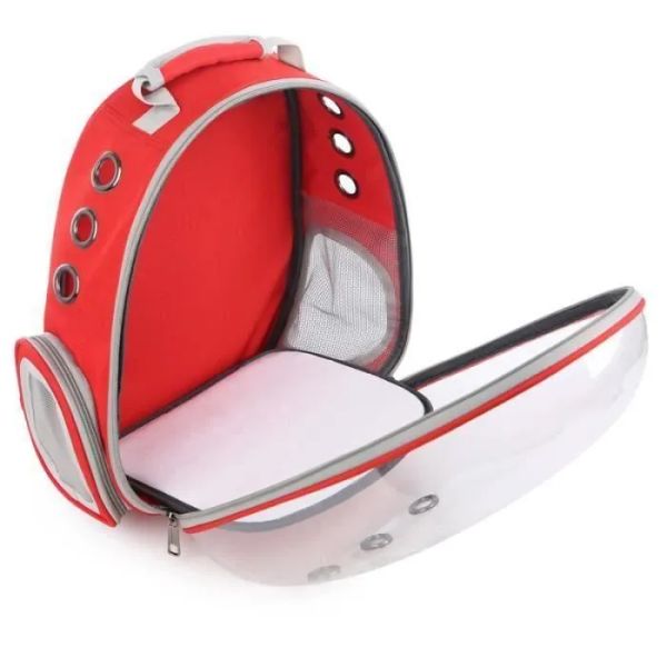 Transparent Red Backpack... 2