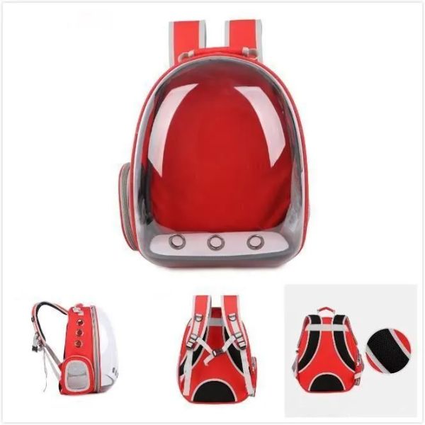 Sac à Dos Transparent Rouge pour...