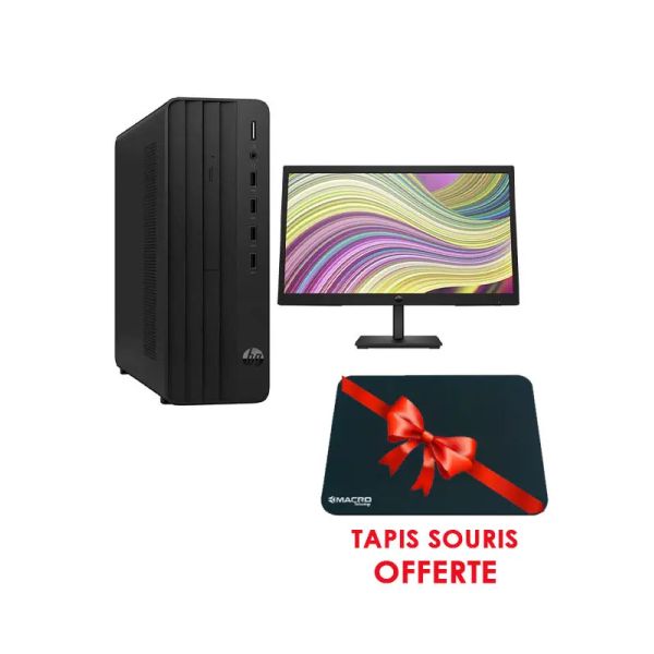 Pc De Bureau HP Pro 290 G9...