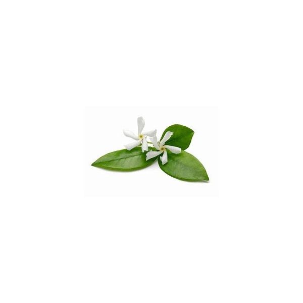 Huile hydratante sèche parfumée "Jasmin"