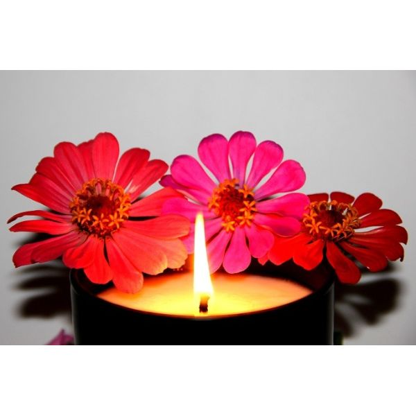 bougie de massage bio karité 270g